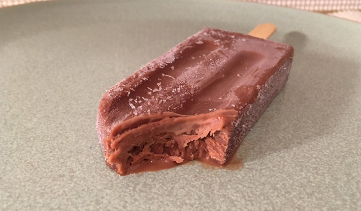 Trader Joe's Chocolate Fudge Oat Bars Non-Dairy Frozen Dessert